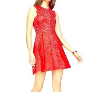 BCBG Ondina Floral Panel Lace Red Dress